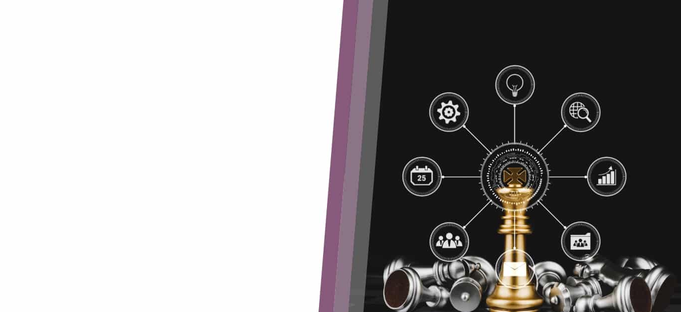 ERP software provider Odoo,Netsuite,Power BI Partners in USA
