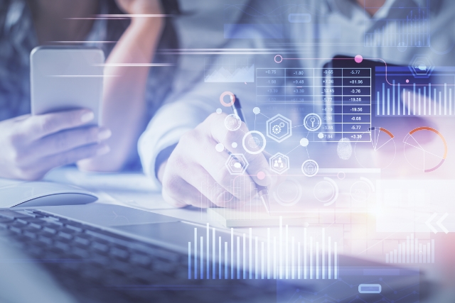 Buisness Intelligence Professional Service ERP software solution