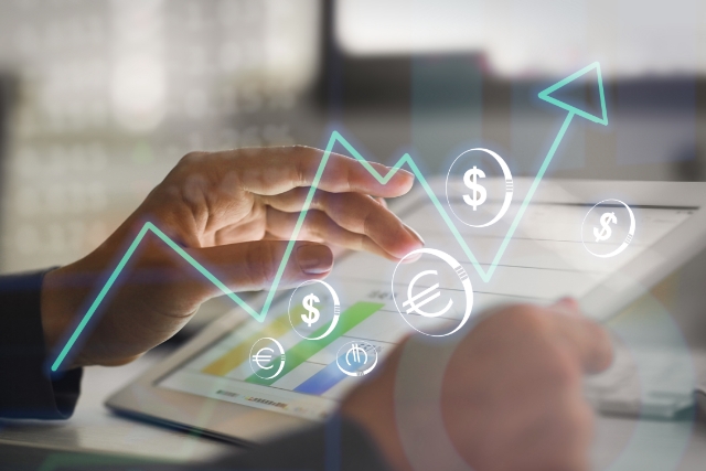 Financial Management Professional Service ERP software solution
