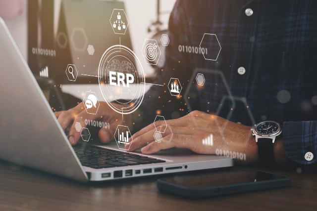 Professional Service ERP Software Professional Service ERP software solution