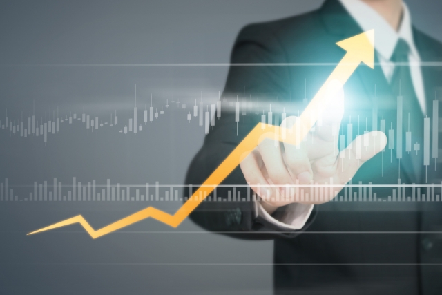 Sales Pipeline Management Professional Service ERP software solution