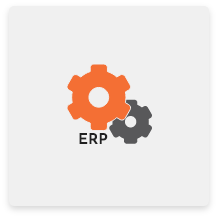 Odoo Partners Texas